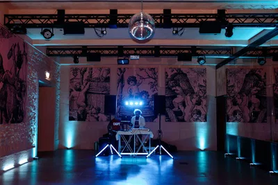 Vignamaggio Disco Entrance