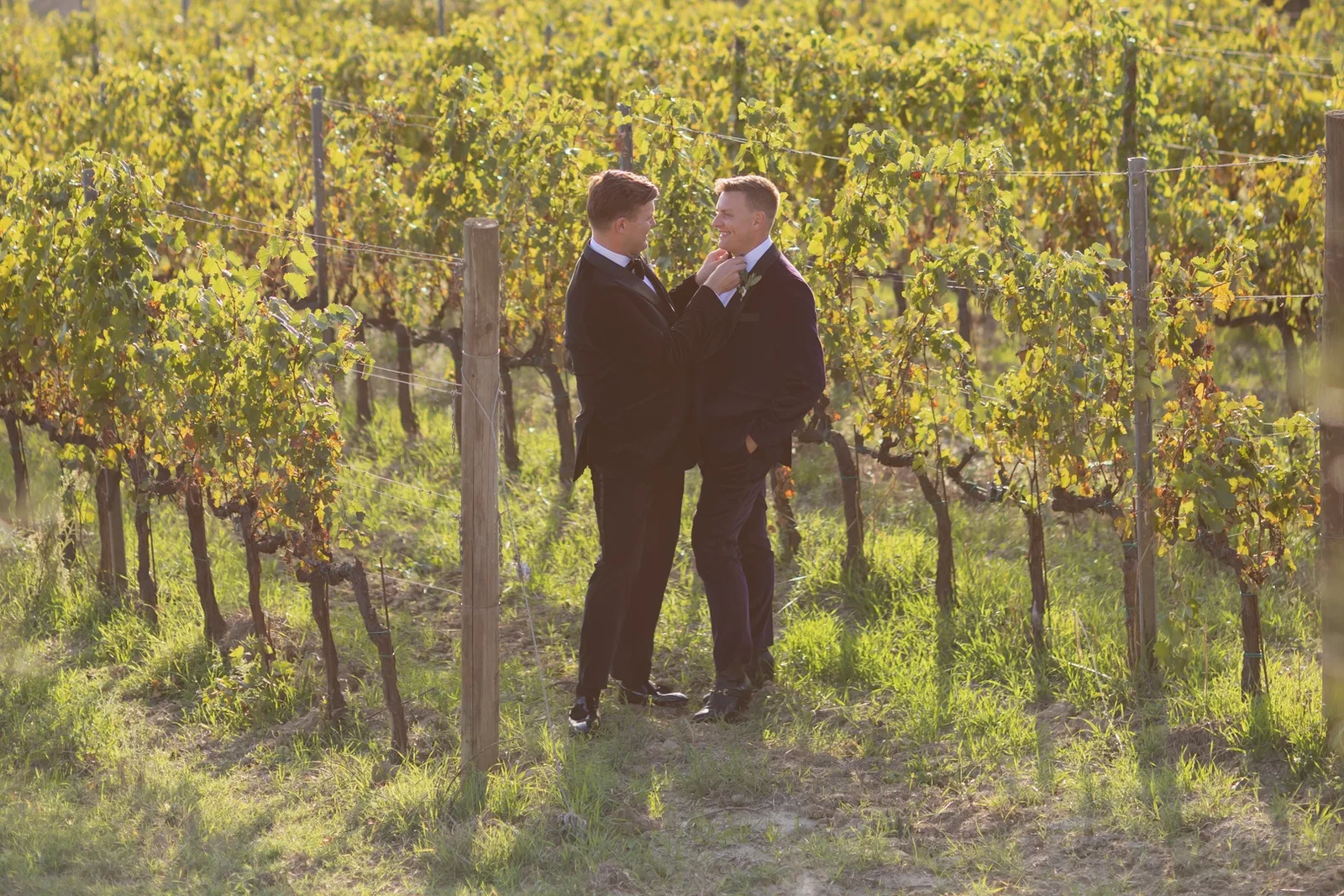 Couple In Vineyard