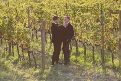 Couple In Vineyard