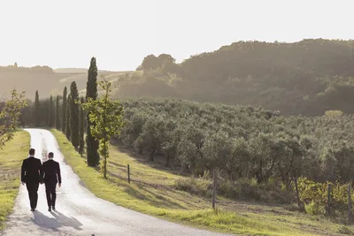 Couple In Vineyard