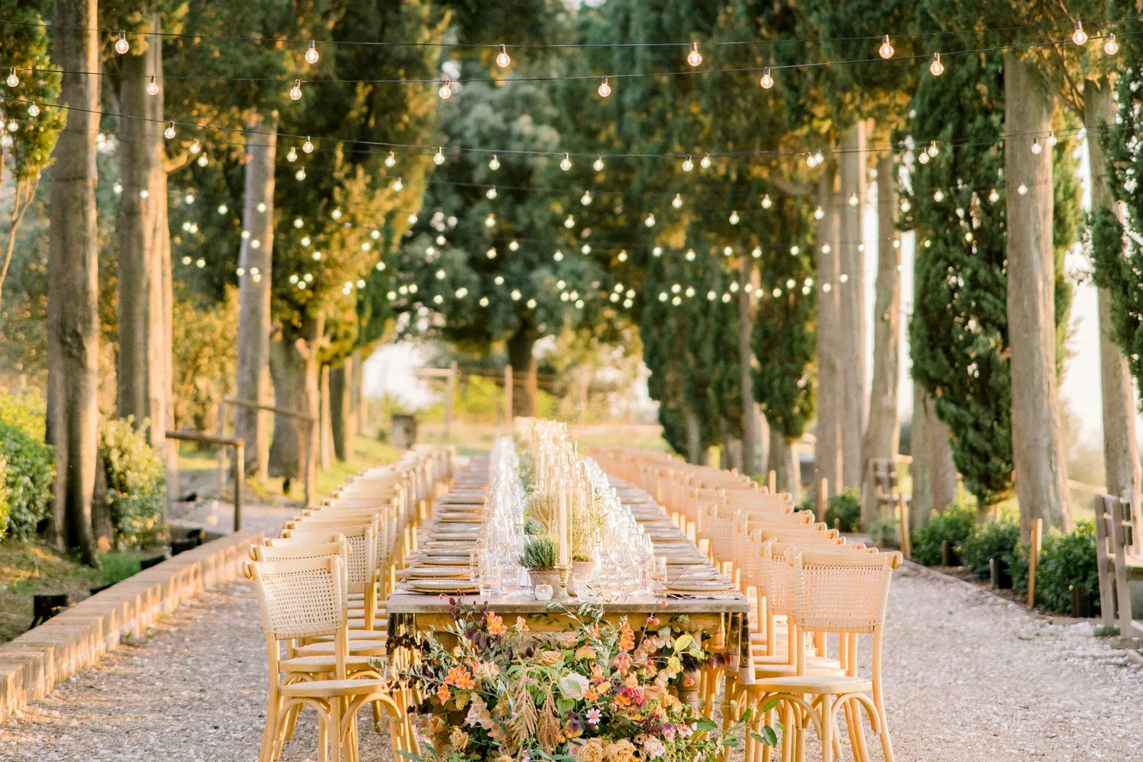 Table And Cypresses