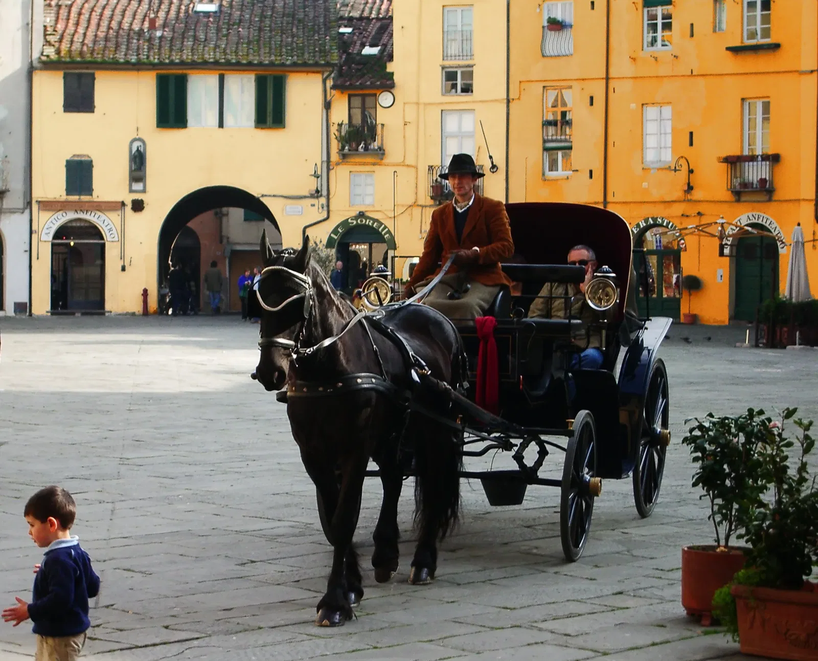 Lucca Carriage Piazza Amphiteater