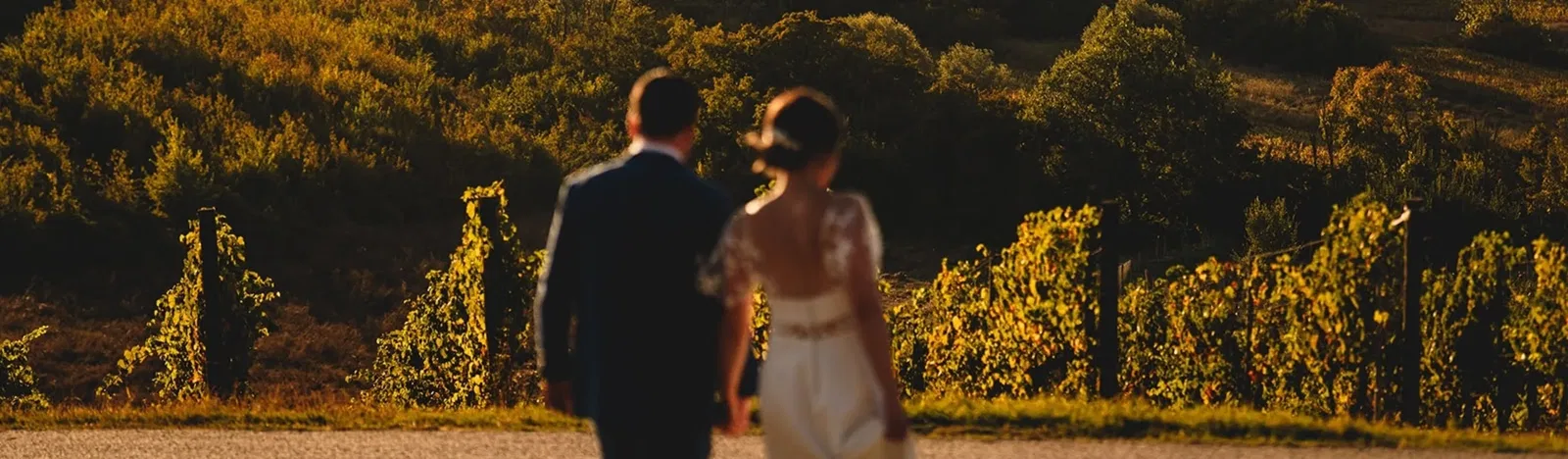 Couple In Front of A Vineyard