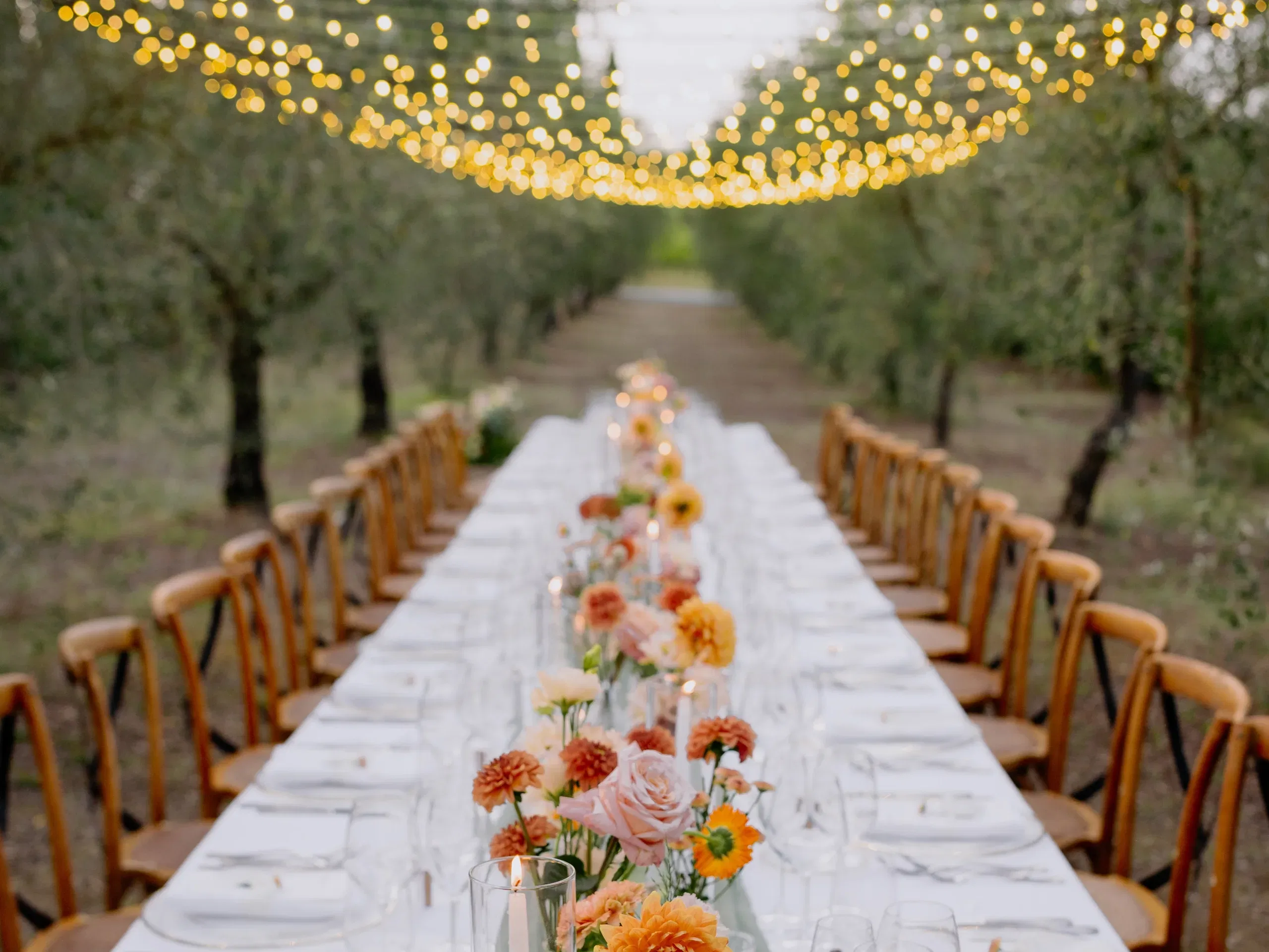 Borgo Vigneto Table Set In Olive Grove