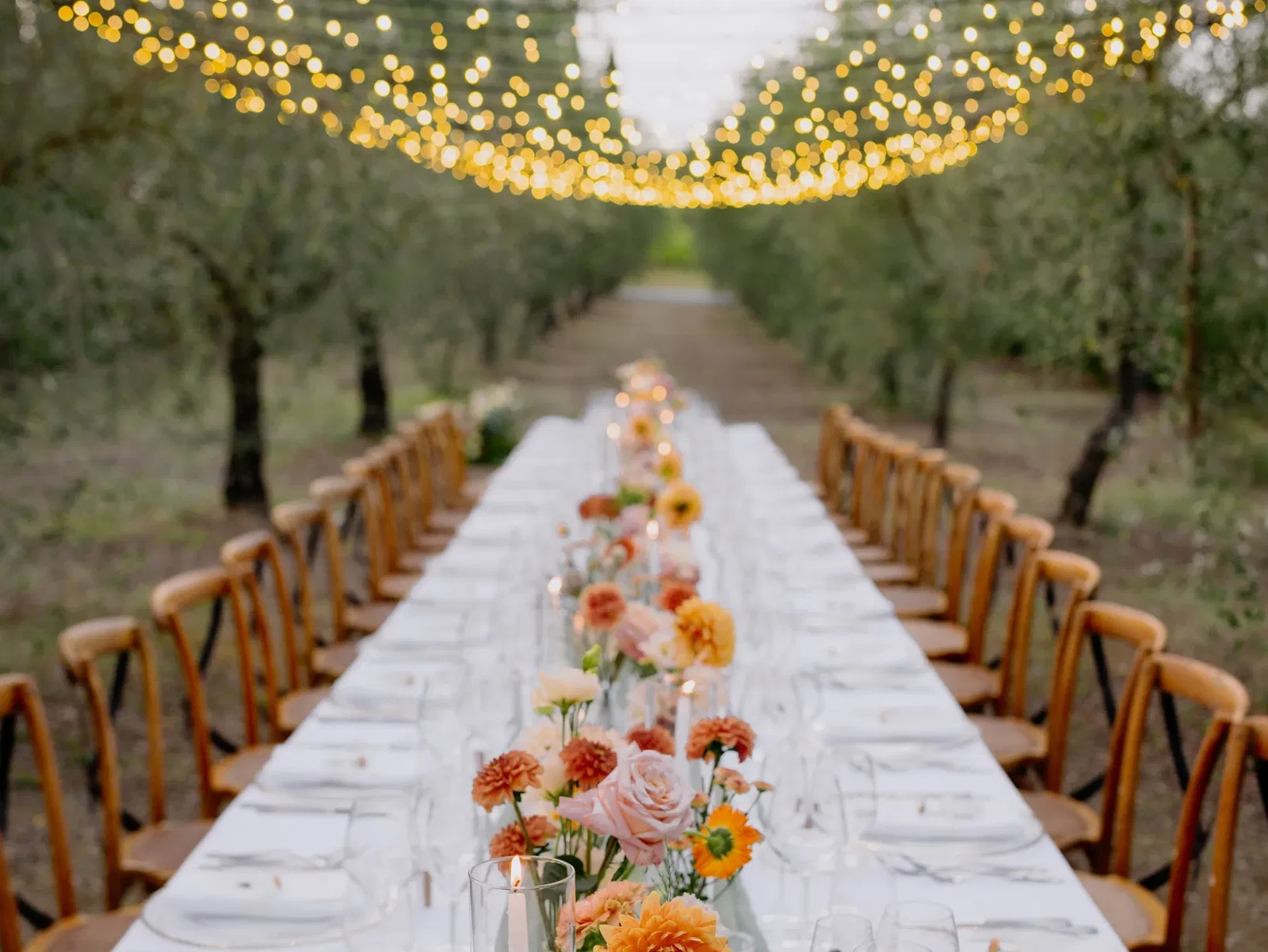 Borgo Vigneto Table Set In Olive Grove