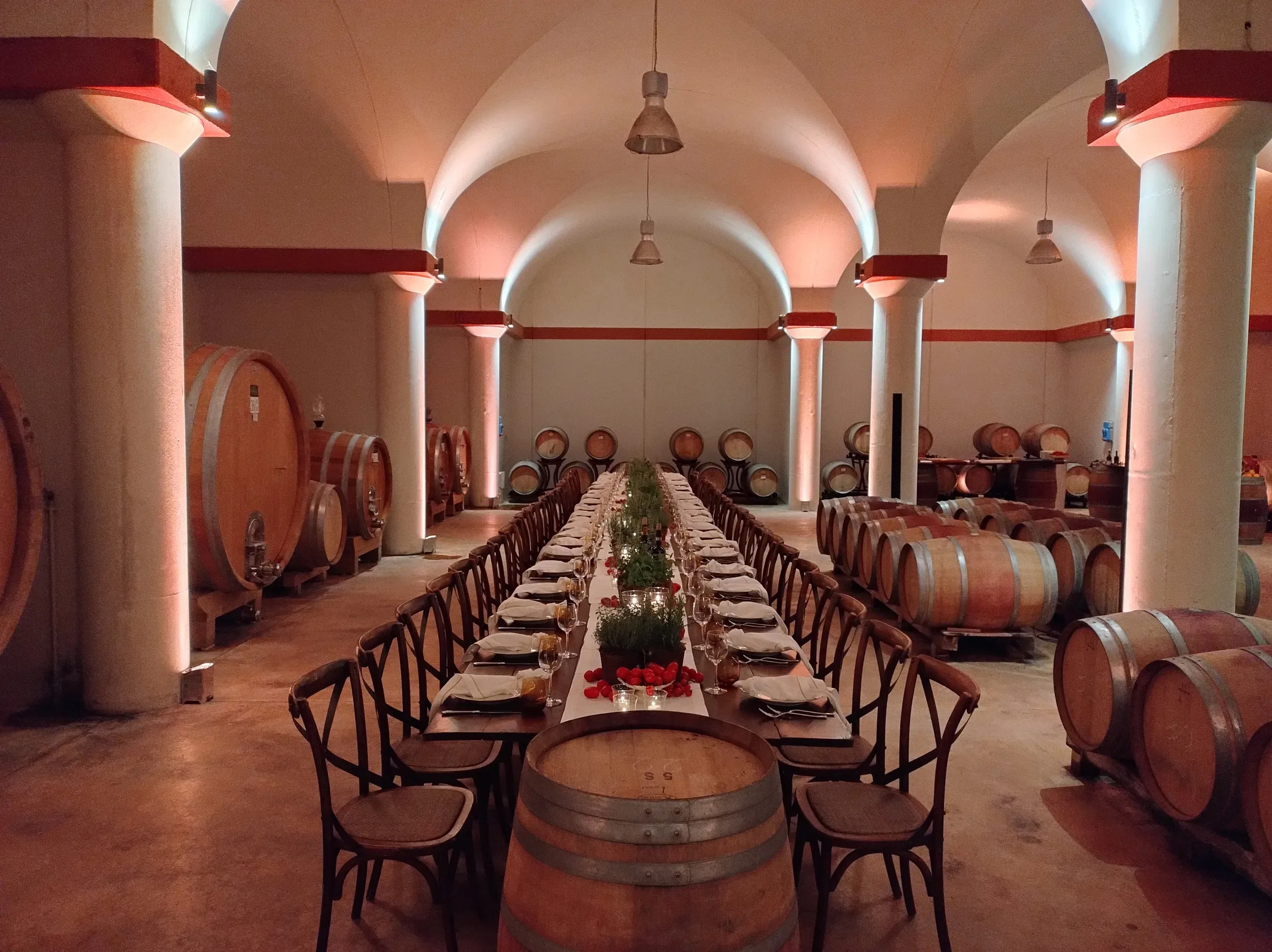 Borgo Vigneto Wine Cellar