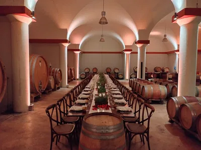 Borgo Vigneto Wine Cellar