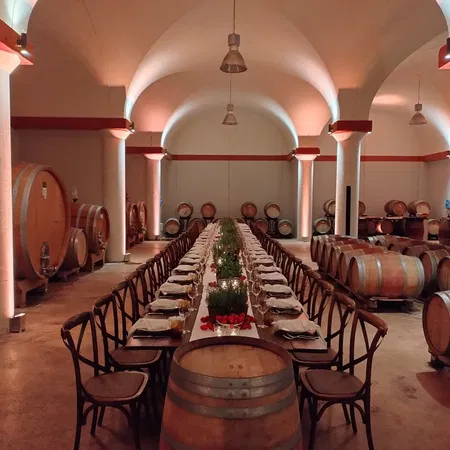 Borgo Vigneto Wine Cellar