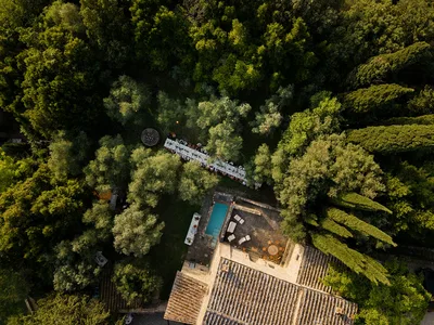 Dinner Table From Above