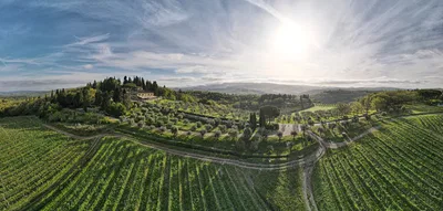 Le Filigare Aerial View