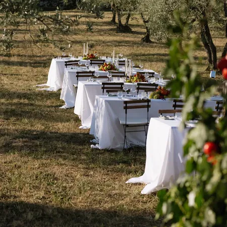 Le Filigare Tables In The Olive Grove