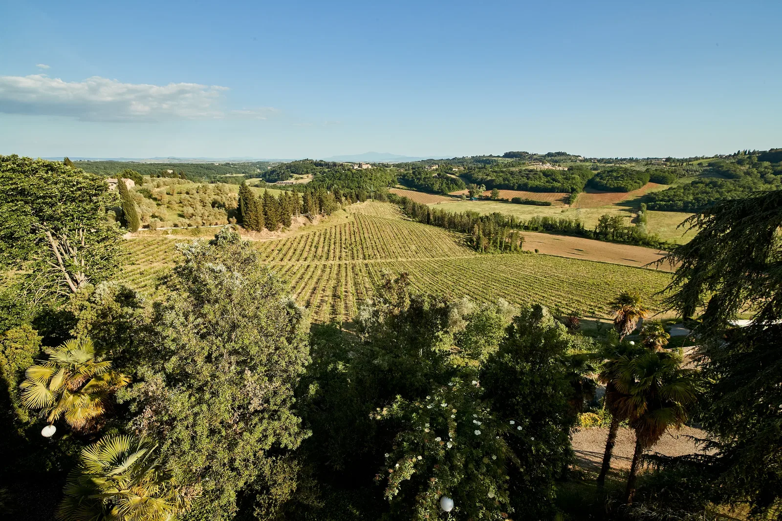 Tenuta di Monaciano Landscape