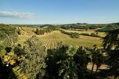 Tenuta di Monaciano Landscape