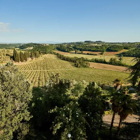 Tenuta di Monaciano Landscape