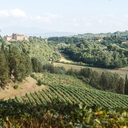 Tenuta di Monaciano Landscape