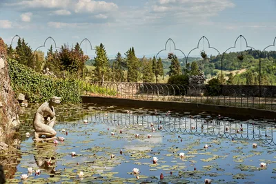 Tenuta di Monaciano Pond