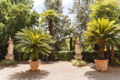 Tenuta di Monaciano Terrace
