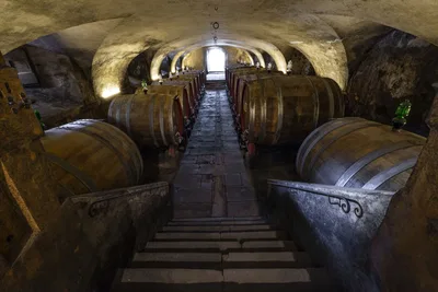 Tenuta la Cona Cantina