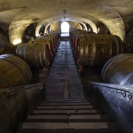 Tenuta la Cona Cantina