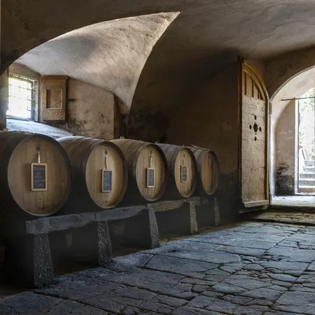 Tenuta la Cona Cantina