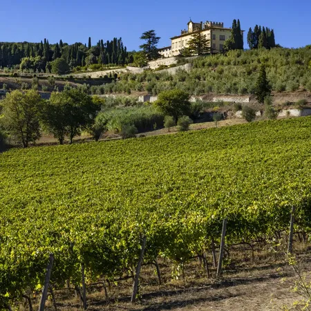Tenuta la Cona Facade From Vineyard