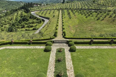 Tenuta la Cona Viale Monumentale