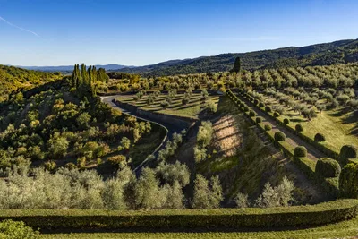 Tenuta la Cona View From Castle