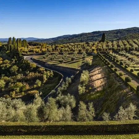 Tenuta la Cona View From Castle