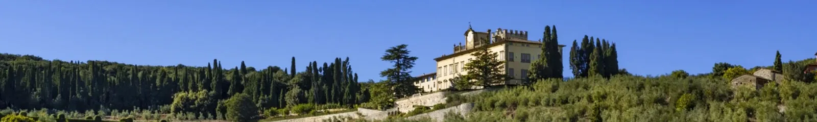Tenuta la Cona Facade From Vineyard
