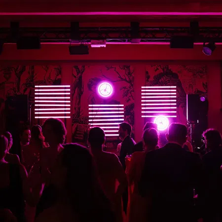 Vignamaggio Discotec Room