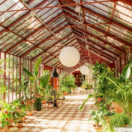 Vignamaggio Greenhouse Interior