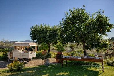 Villa Medicea di Lilliano Gelato Ape